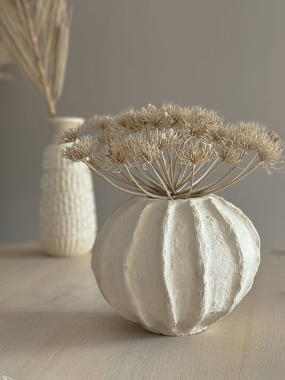 Vaas Maleko Beige Studio Bella