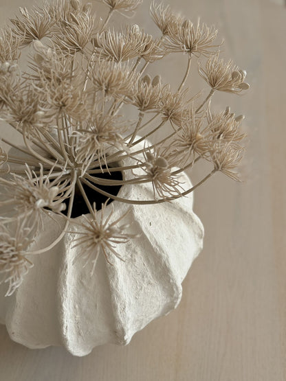 Vaas Maleko Beige Studio Bella